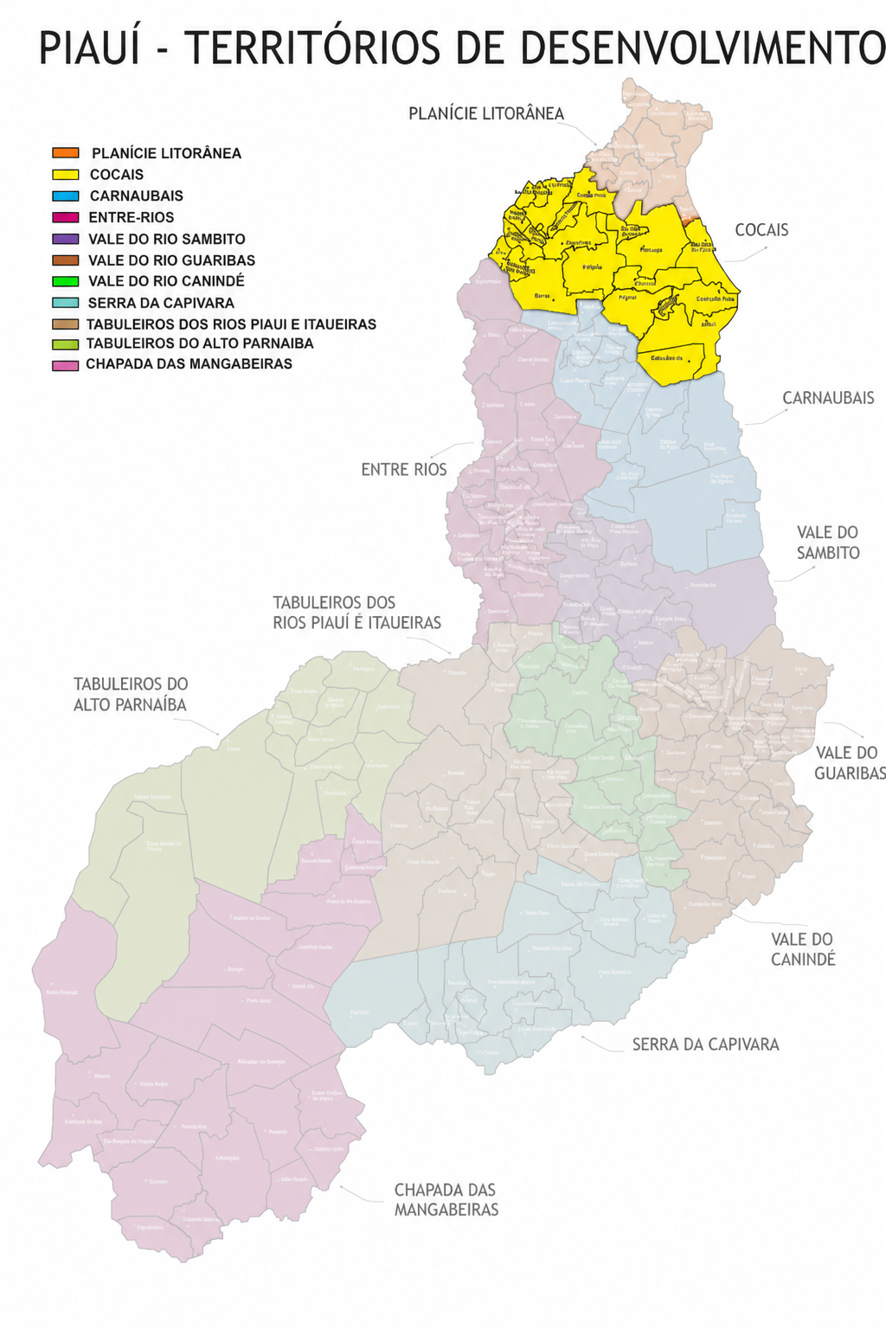 Cocais: o território pequeno no mapa, gigante no potencial de crescimento