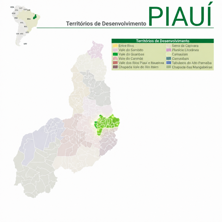 Vale do Rio Guaribas: o território que mais avançou no Piauí e ainda pode ir muito mais longe